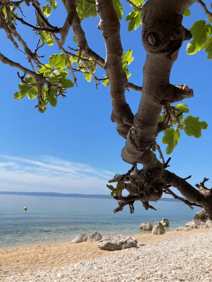 Kuca Za Odmor Baya Villa Stara Baška Exteriör bild